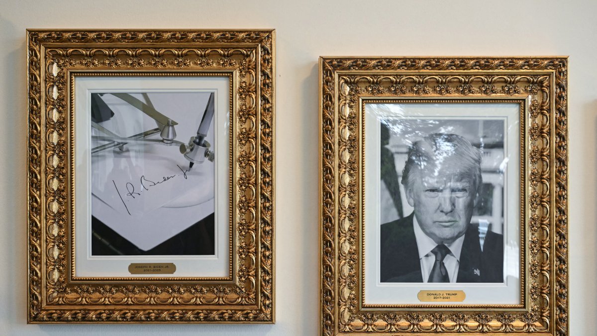 Picture of Joe Biden at the White House/ Saul Loeb.