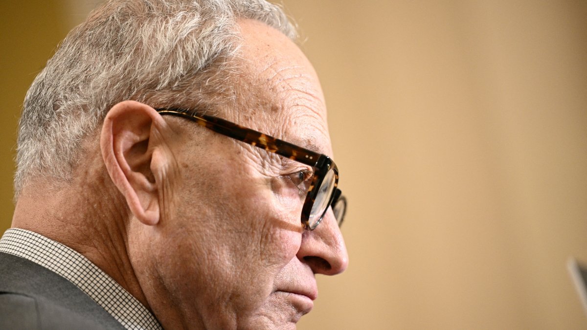 Chuck Schumer in Congress/ Brendan Smialowski