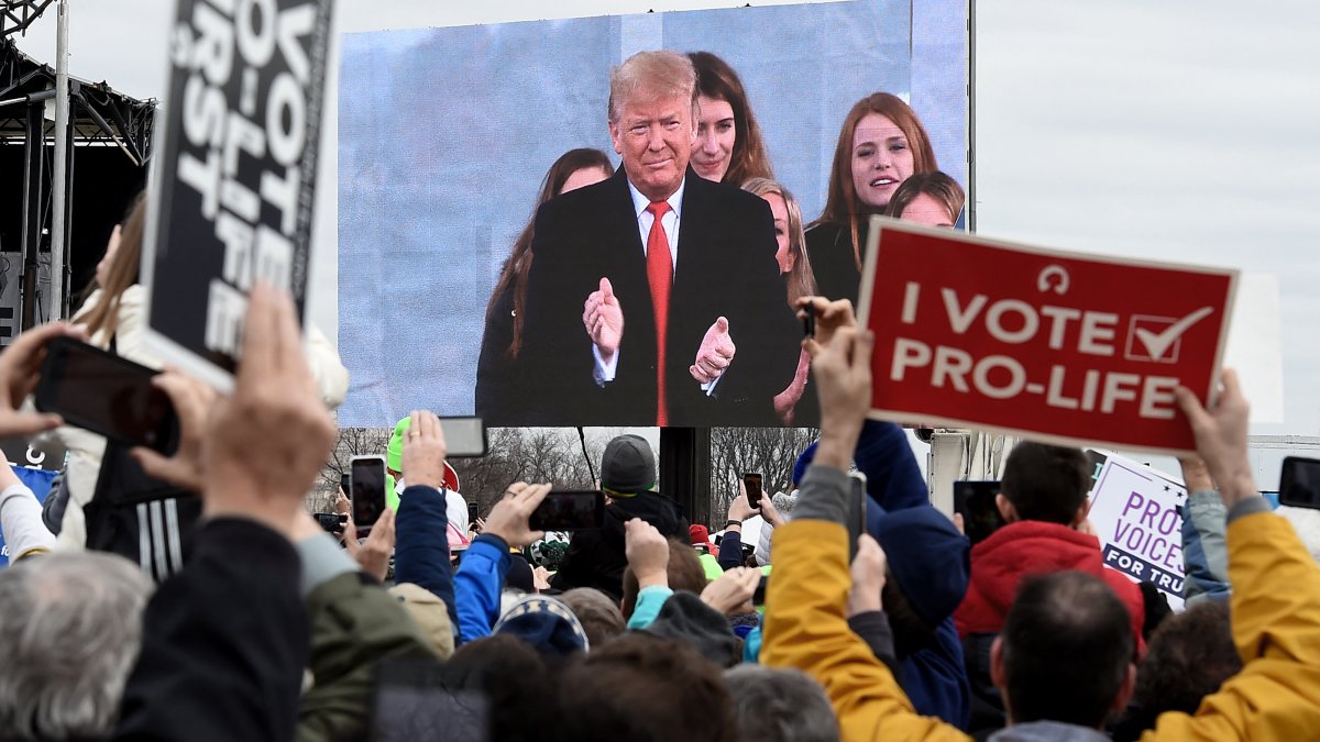 Pro-life protesters applaud Trump during 2020 March for Life.