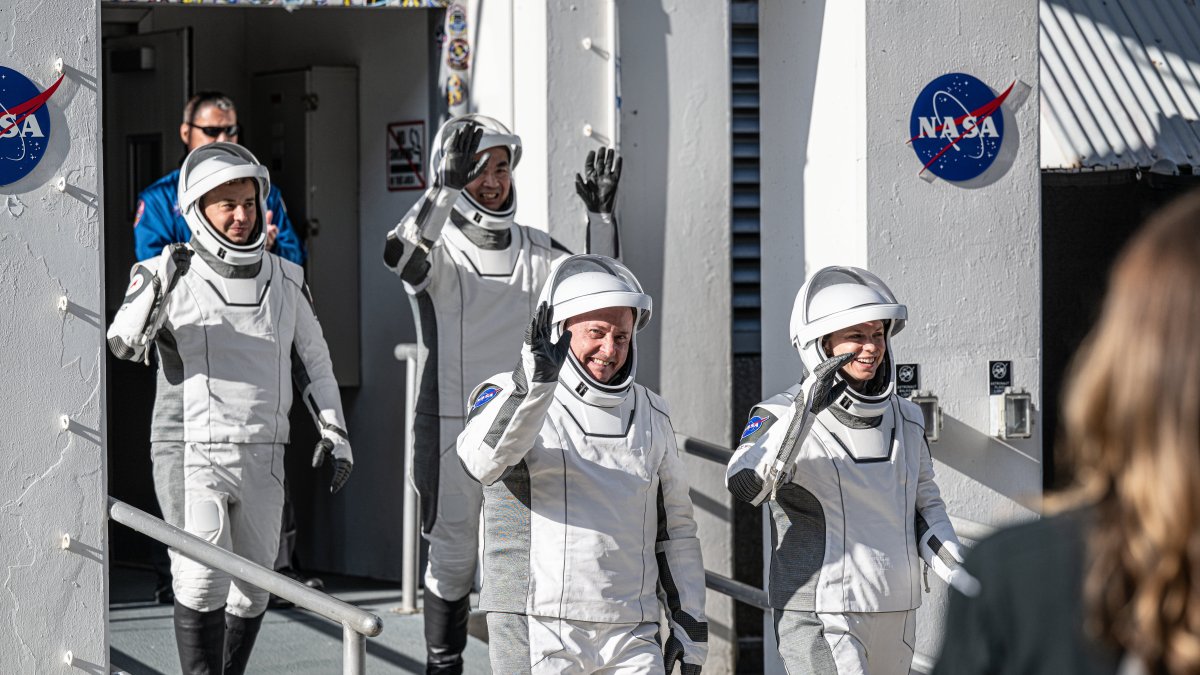 Misión CREW-11 antes del despegue