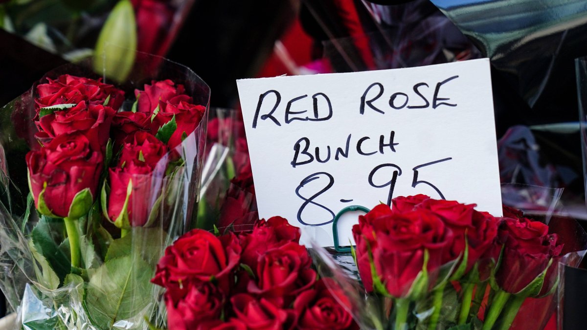 Rosas en venta para San Valentín-Imagen de Archivo