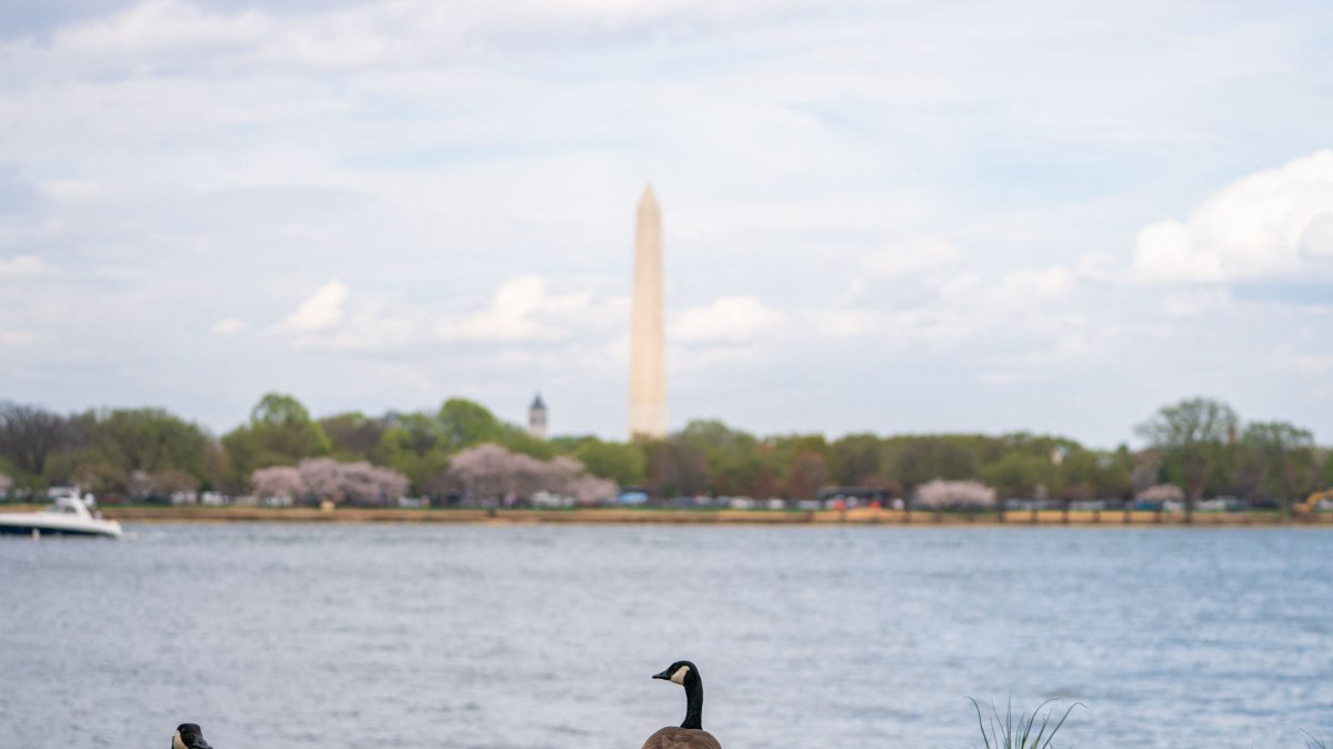 View of the Potomac River in Washington, D.C./ Alisson Robbert.