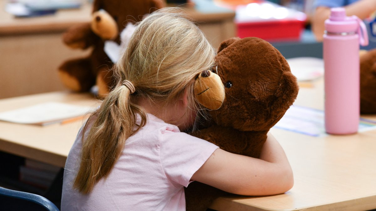 Students at a US school (File).
