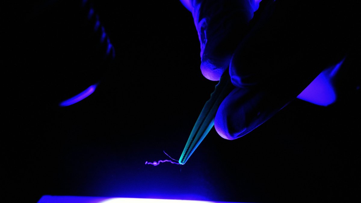 A forensic specialist analyzes a case (File).