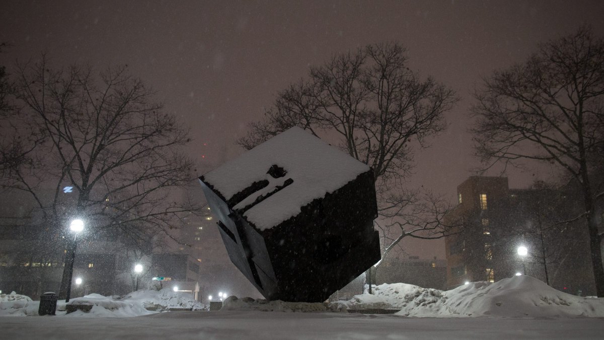 Nevada in Michigan (file)