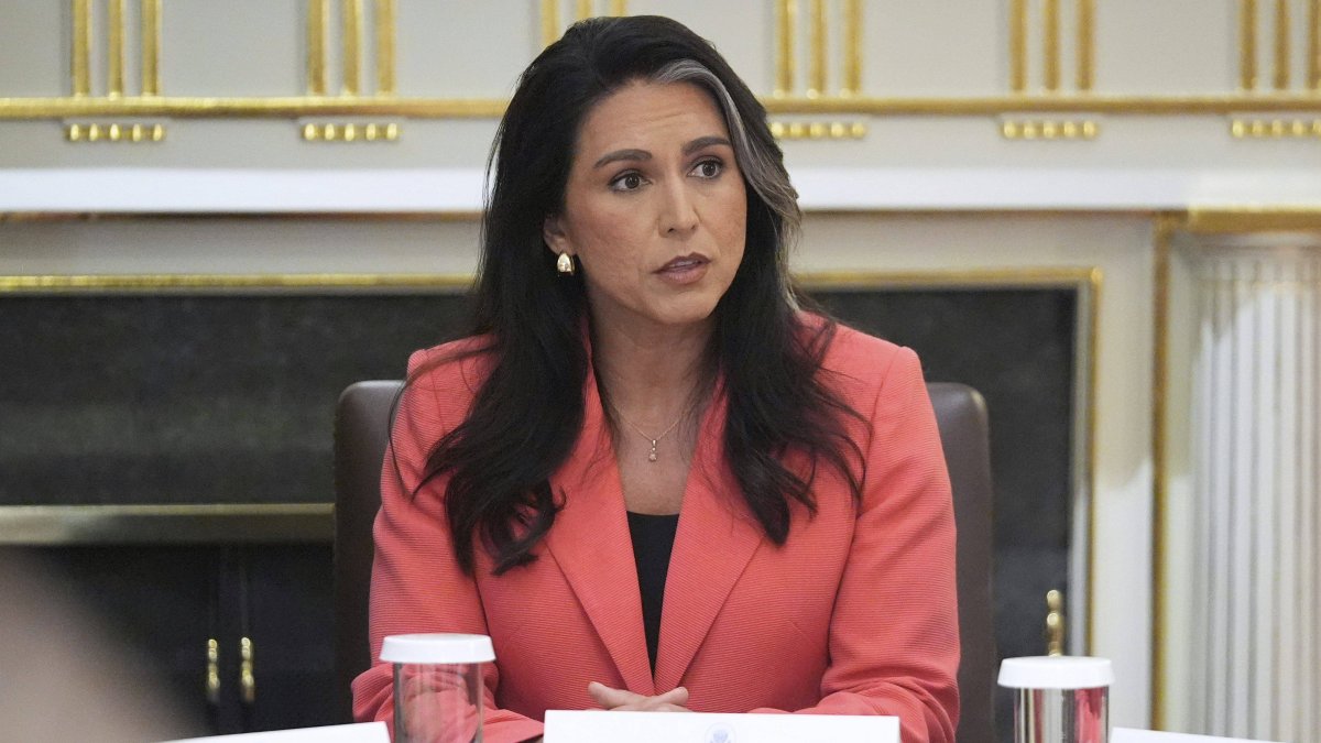 Tulsi Gabbard at a Trump administration cabinet meeting. File image
