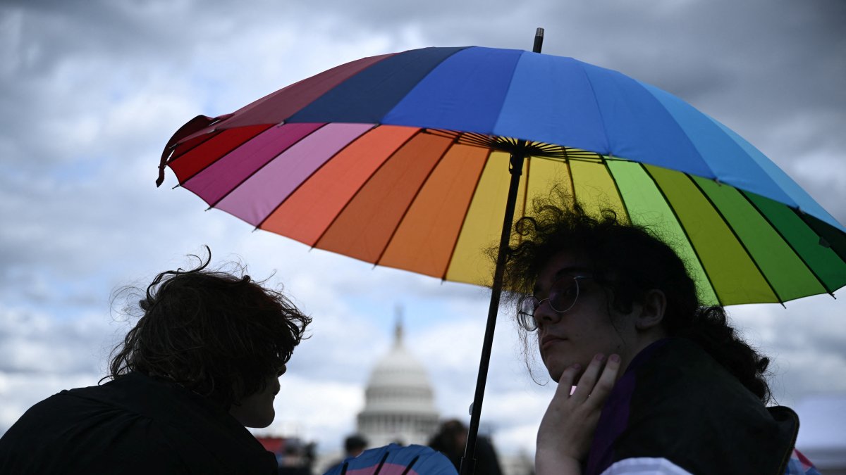 People attend a Trans Day of Visibility rally in Washington.