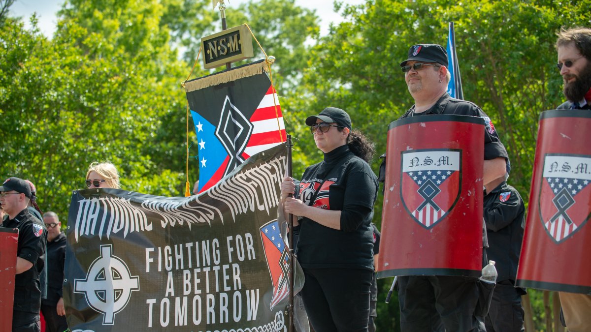 National Socialist Party of America/Bita Honarvar demonstration.