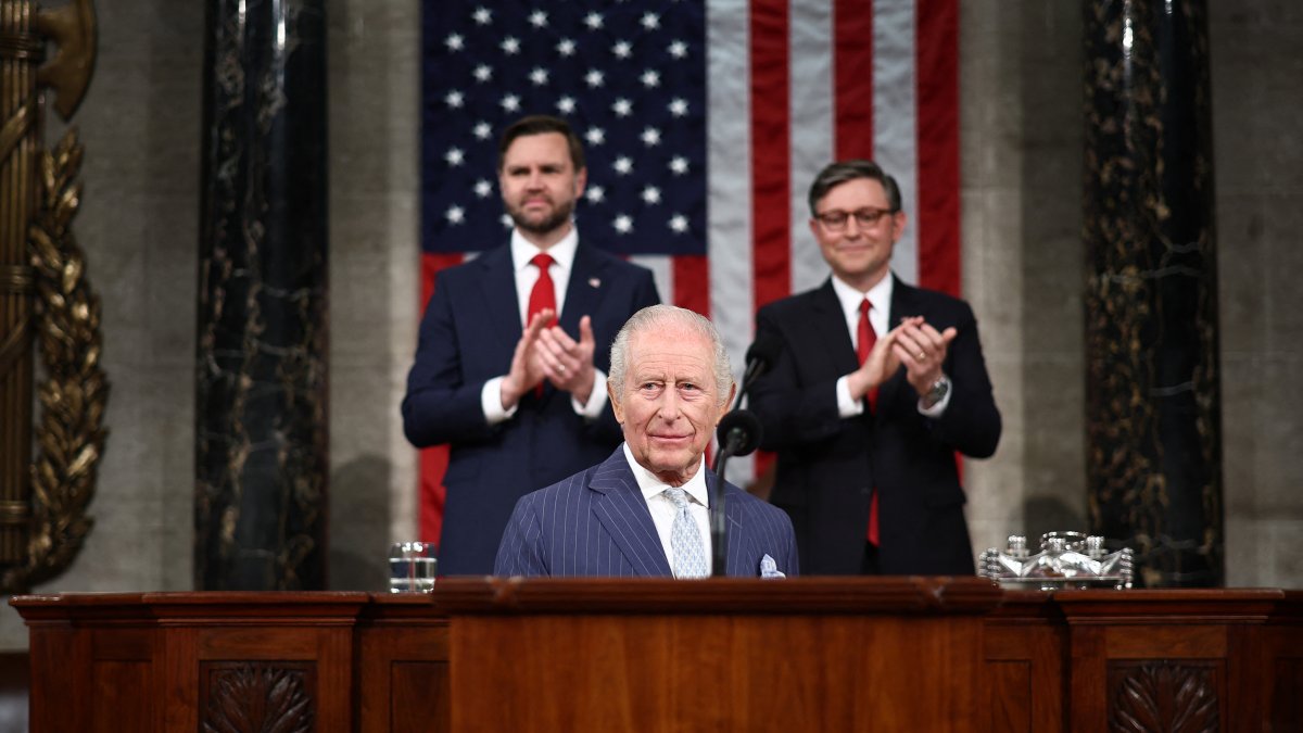 Charles III in Congress/Henry Nicholls.