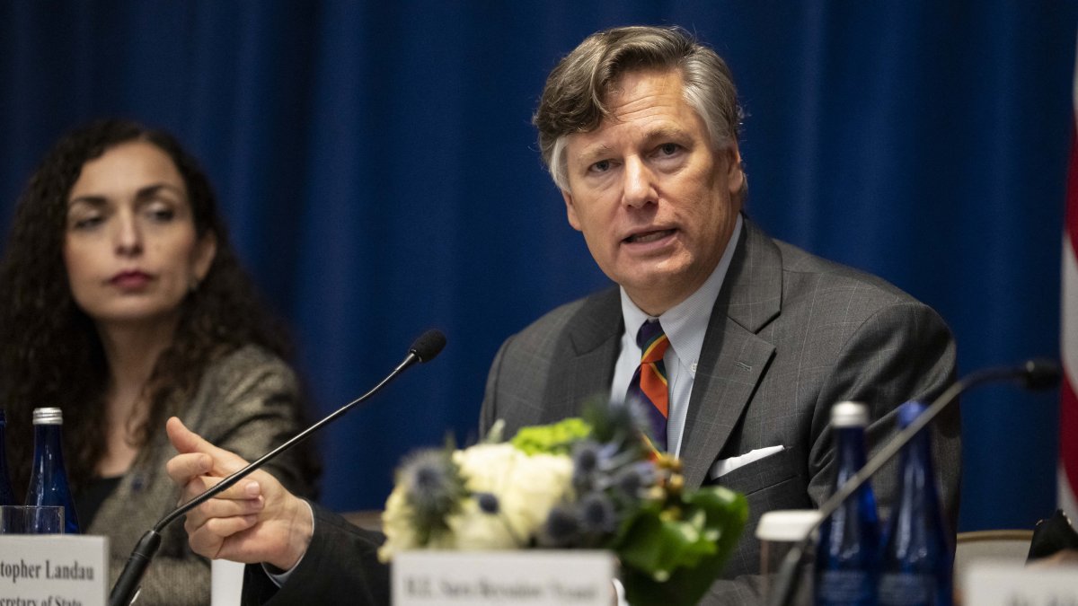 Undersecretary of State Christopher Landau.