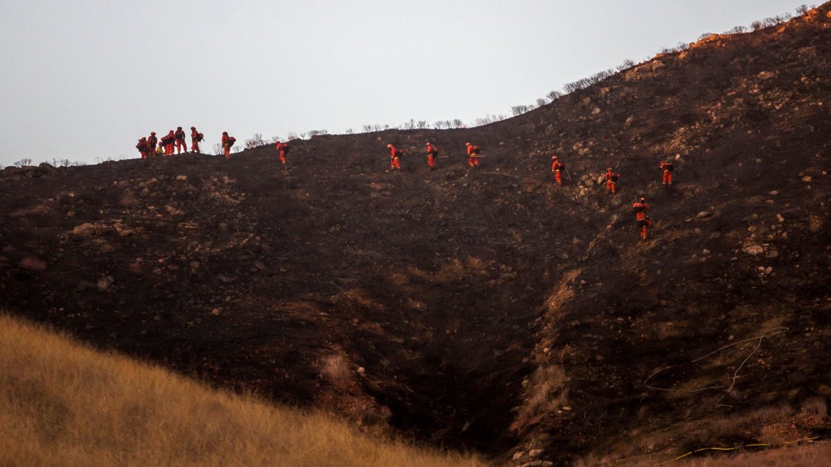 Burned hillside in Jurupa Valley, in Riverside, California, in 2019