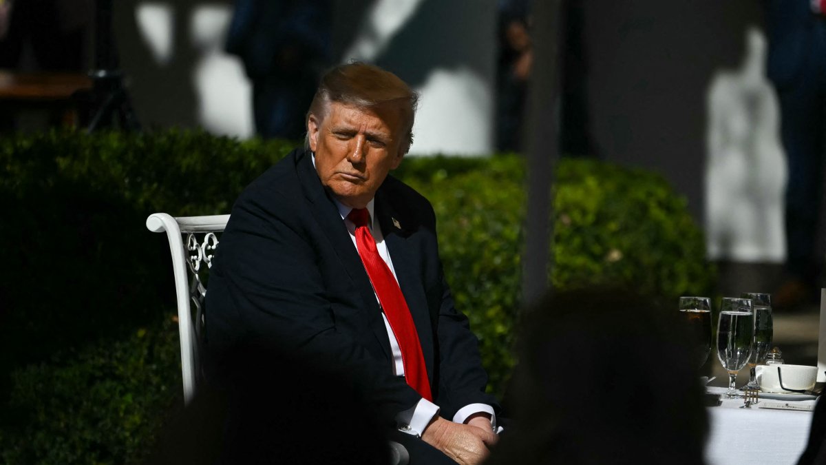 Donald Trump at the White House/ Andrew Caballero- Reynolds.