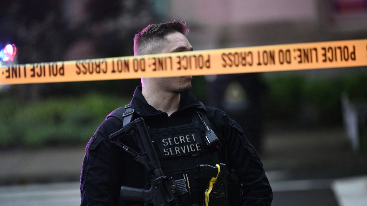 Image of the shooting at the White House.