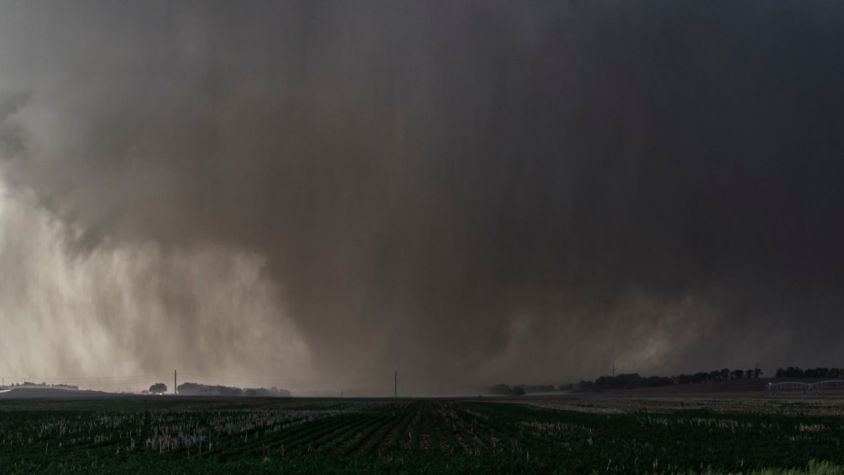 A violent wedge-shaped tornado, wrapped in rain, devastates farmland (File).