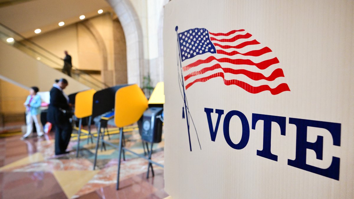 Voting center in Los Angeles, California/ Frederic J. Brown