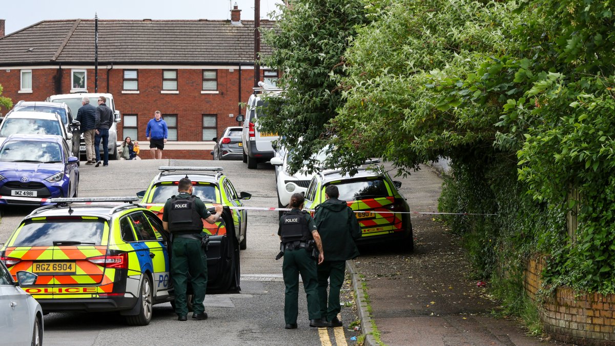 Police are working at the scene of a stabbing in north Belfast
