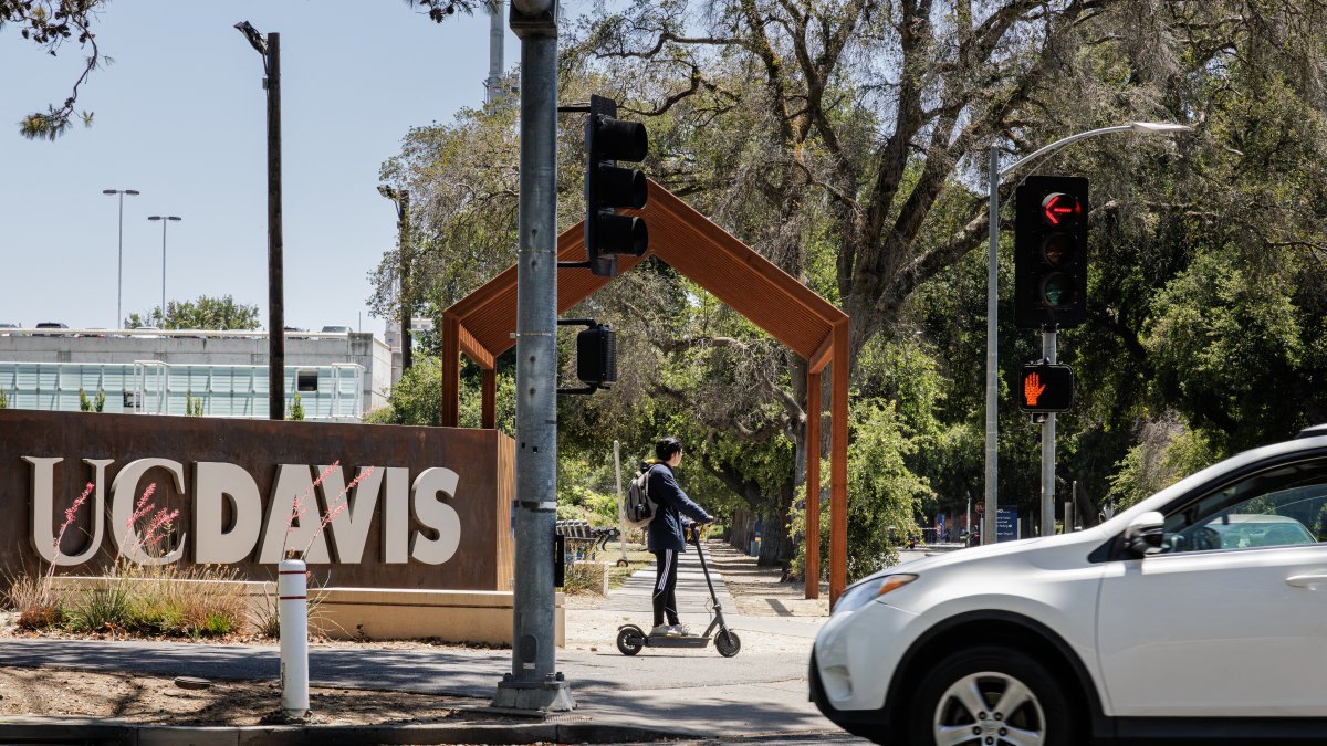 University of California, Davis. File photo