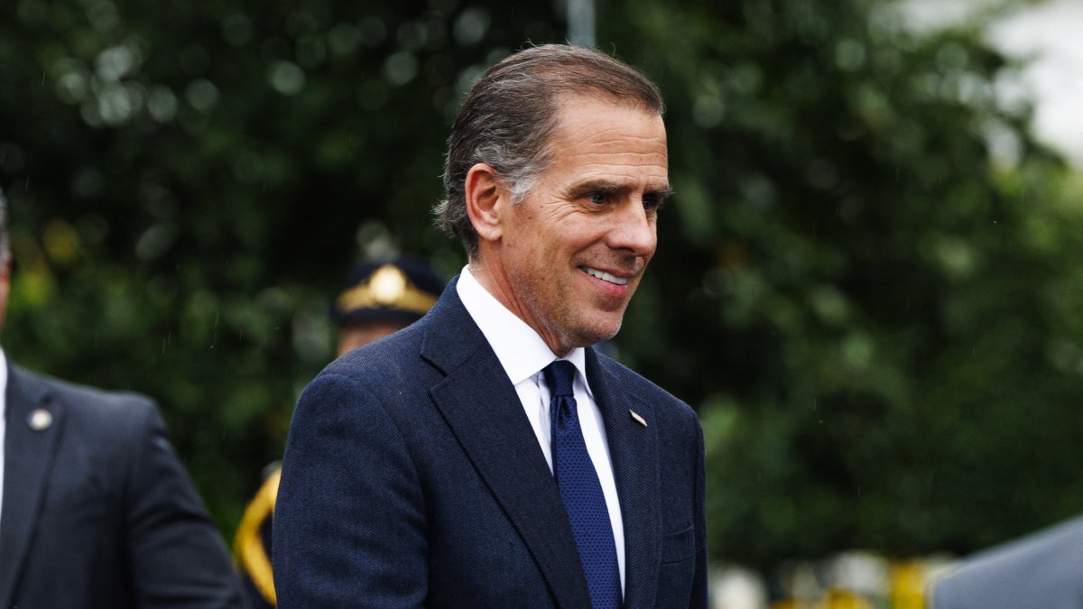 Hunter Biden in Washington, D.C./ AARON SCHWARTZ
