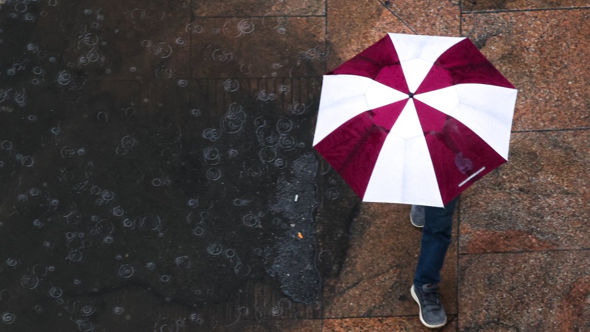 A person walks with an umbrella in the rain (File photo)