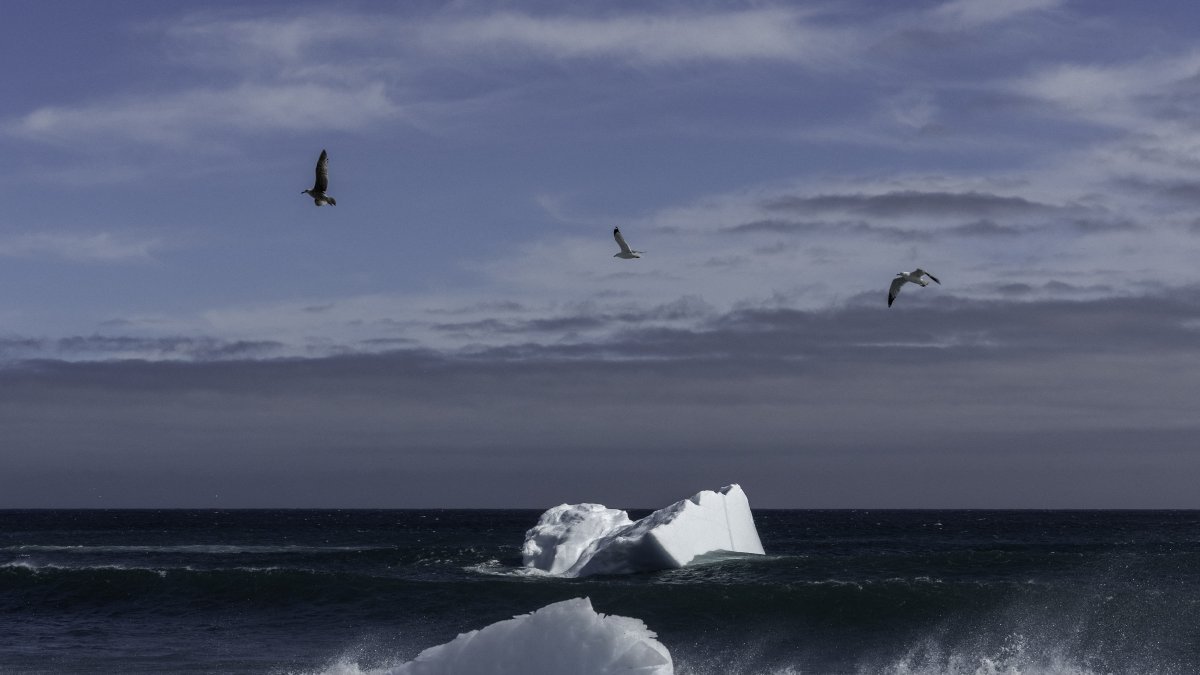 Un iceberg flota en las aguas del océano Atlántico
