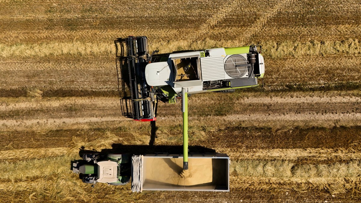 Reference image of Agriculture
