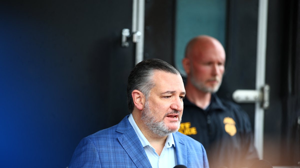 Ted Cruz en Dallas, Texas/ ARIC BECKER / VARIOUS SOURCES