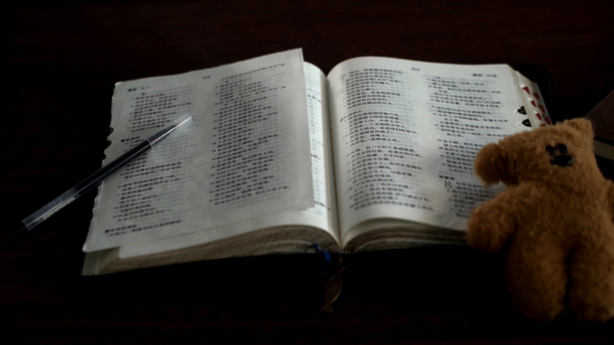 Biblia china