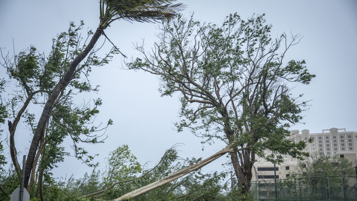 Image of the damage caused by Bavi