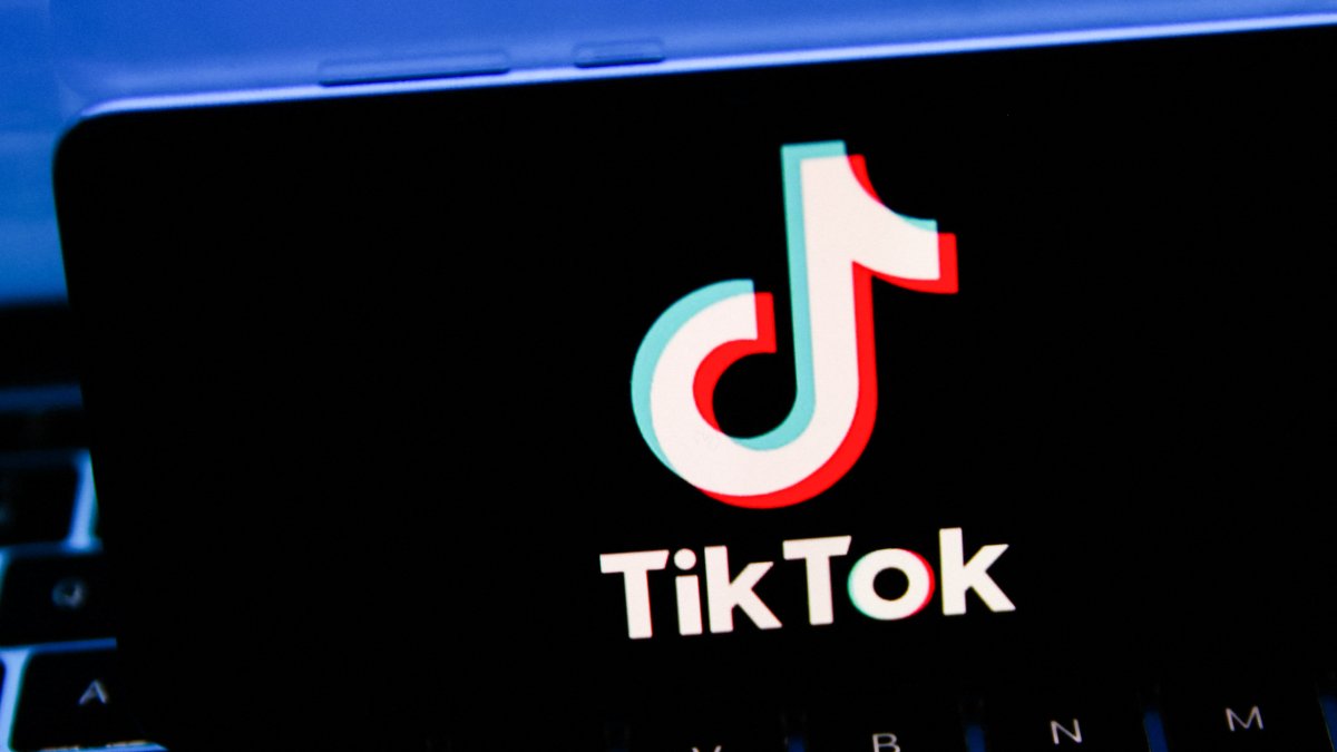 TikTok logo. File photo
