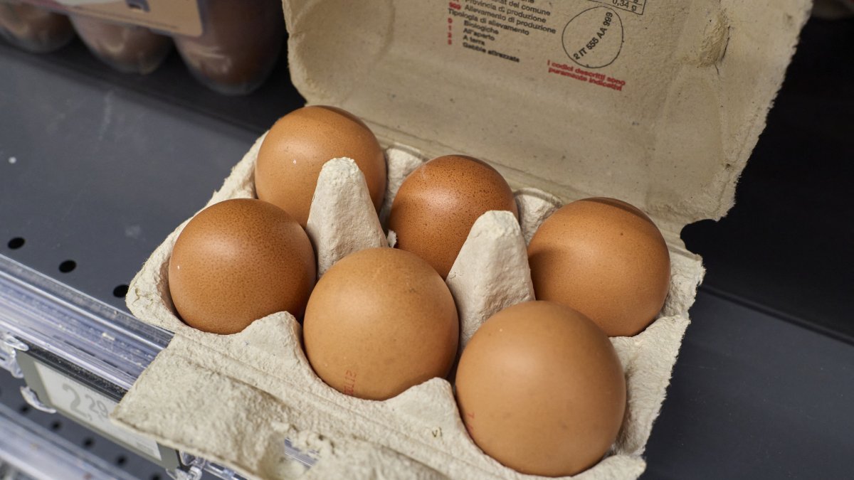 File photo of eggs