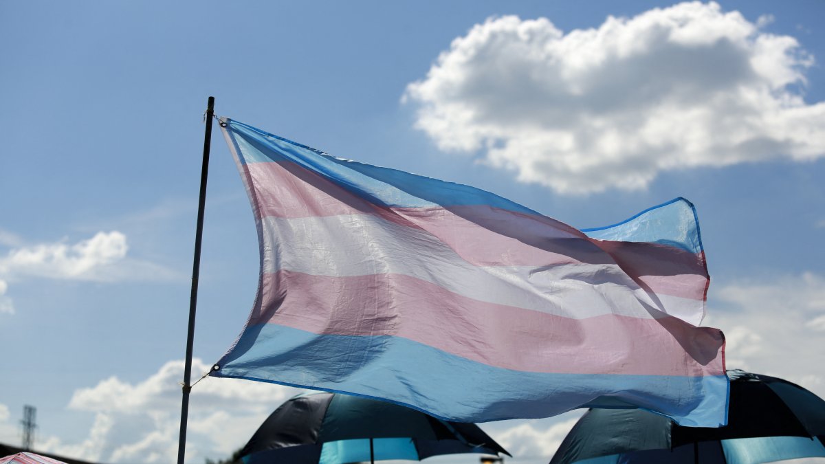 Image of the transgender flag