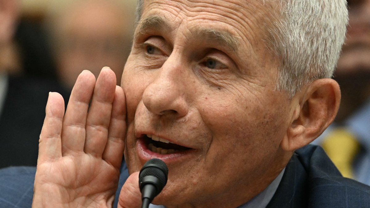 Anthony Fauci, en 2024.