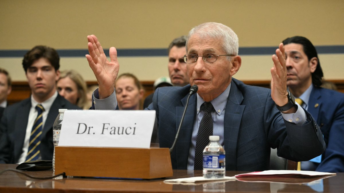 Dr. Anthony Fauci, testifying before Congress in 2024.
