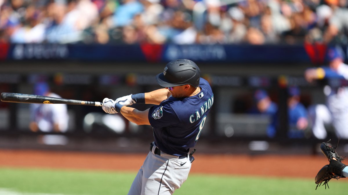Image of a hit by Dominic Canzone