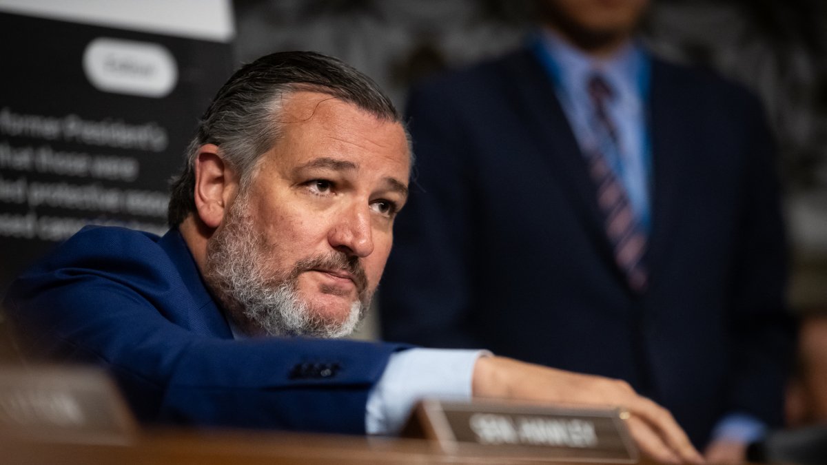 Ted Cruz in the Senate/ Allison Bailey