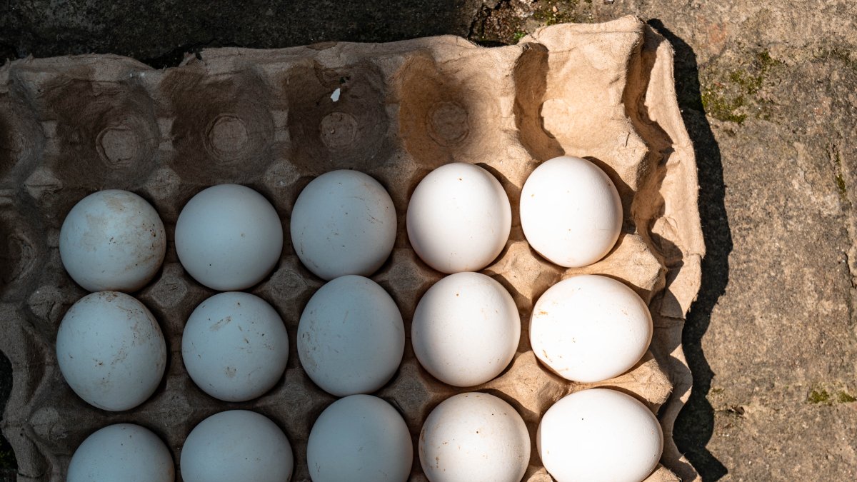 A dozen eggs—File photo