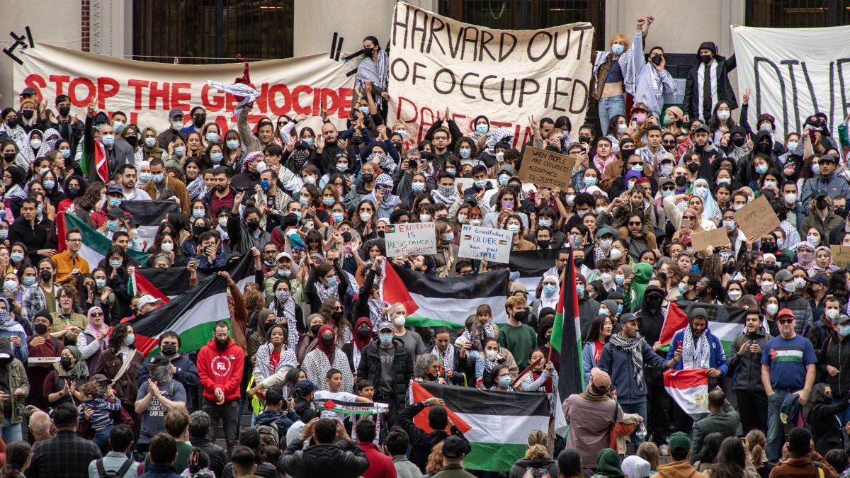 Pro-Palestinian supporters protest outside Harvard University. March 2024