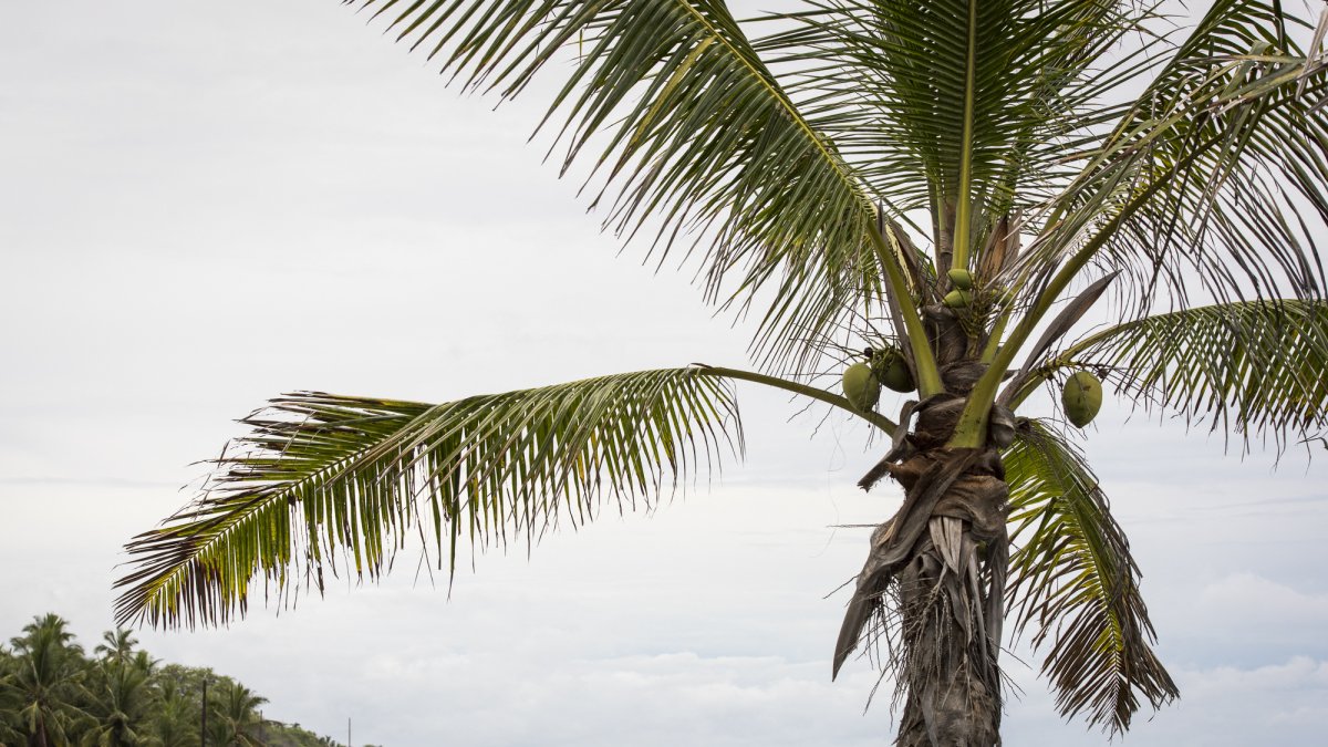 Clouds on the horizon before Hurricane Lane made landfall in Miloli'i, Hawaii, in 2018