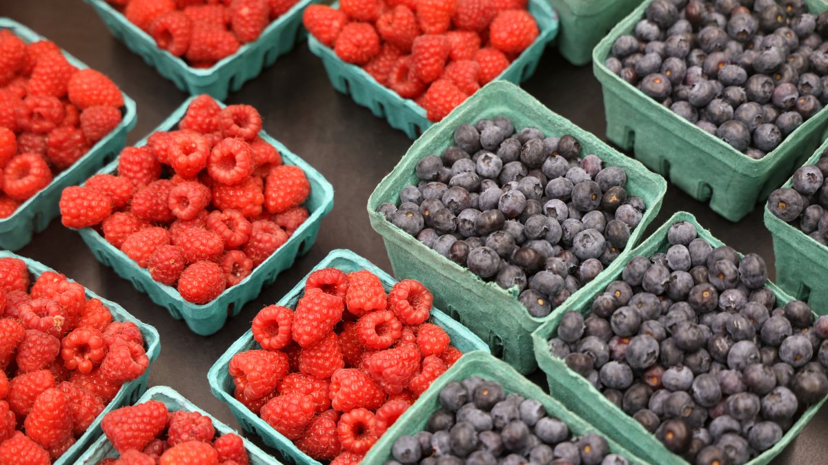 File photo of blueberries