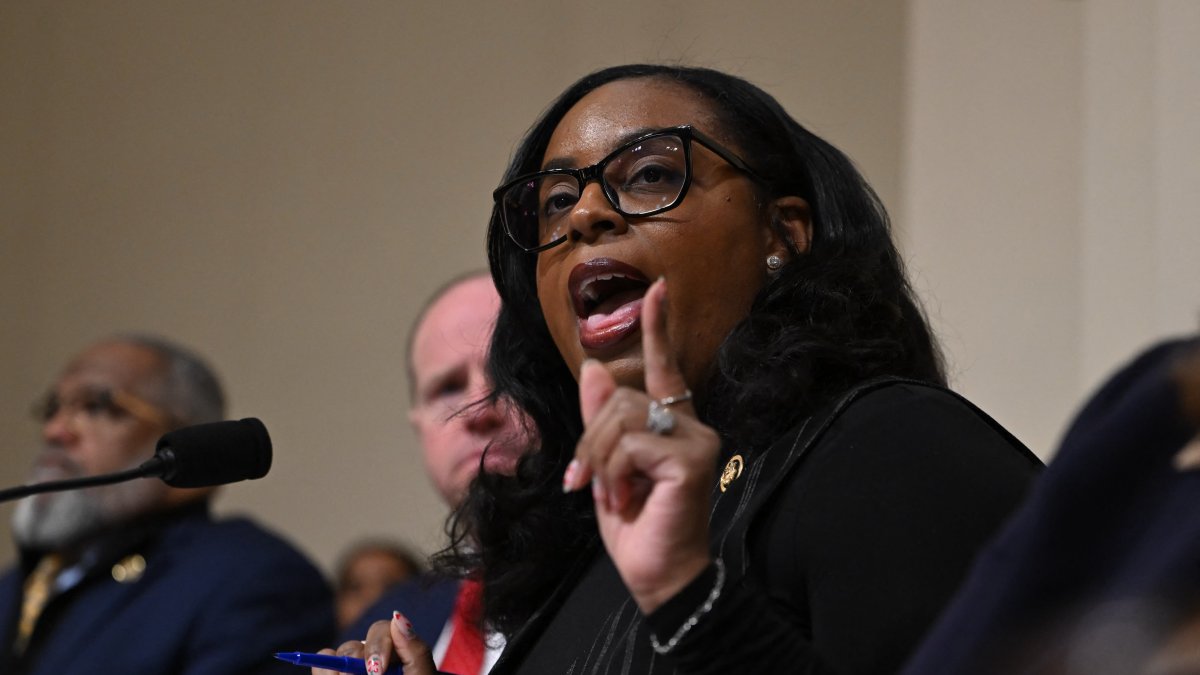 LaMonica McIver en Capitol Hill/ Andrew Caballero- Reynolds