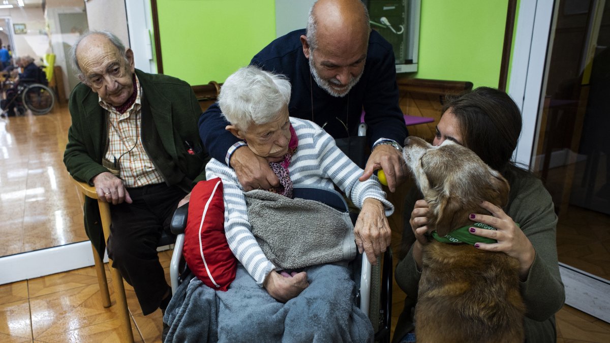 A group of elderly people in a file photo