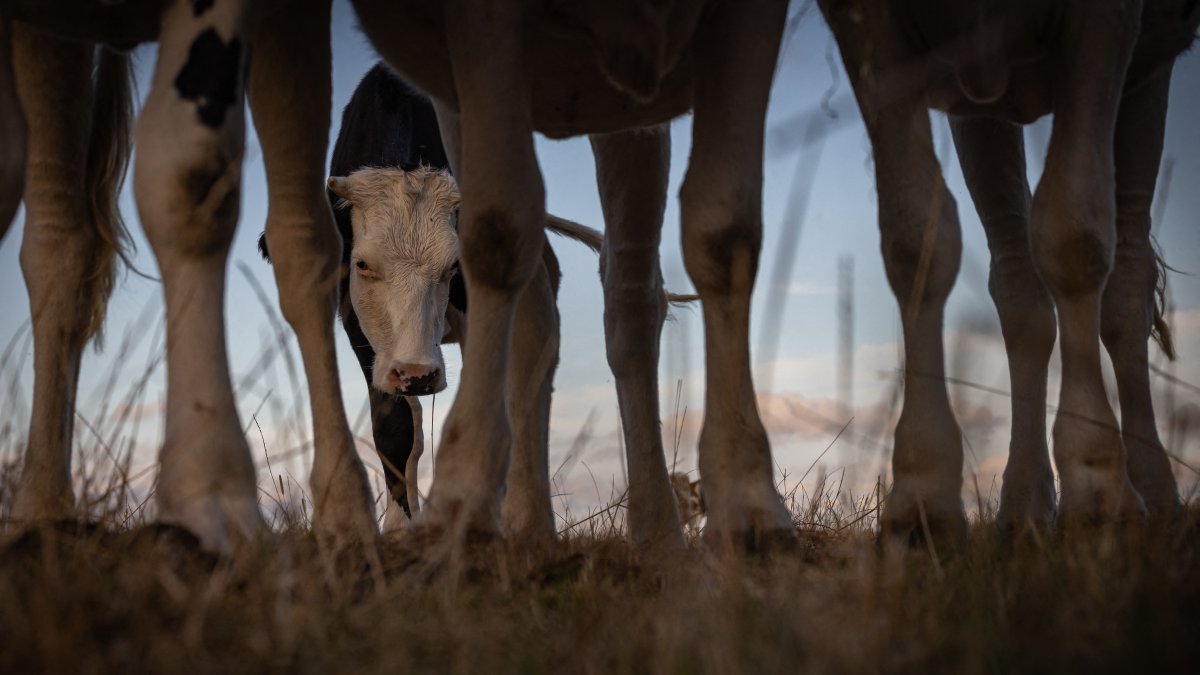 Stock image of agriculture