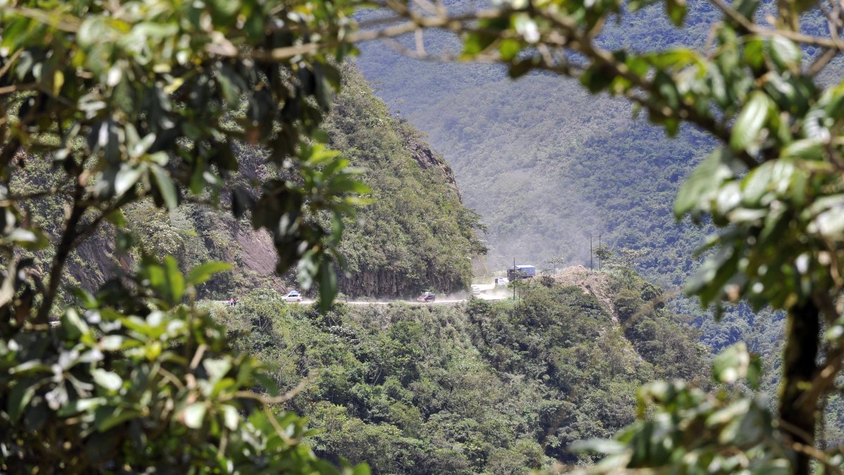 Image of Los Yungas, in Bolivia, the area where the new species was discovered.