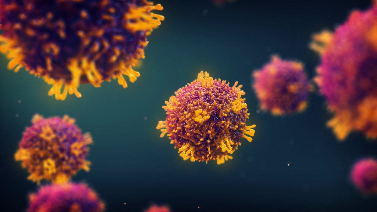 Measles virus, illustration.
