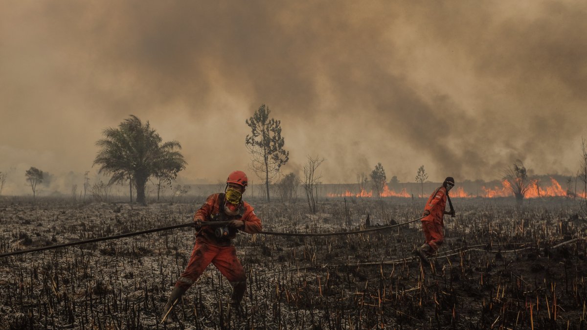 Un grupo de bomberos sofocan un incendio en el sur de Asia (Archivo)