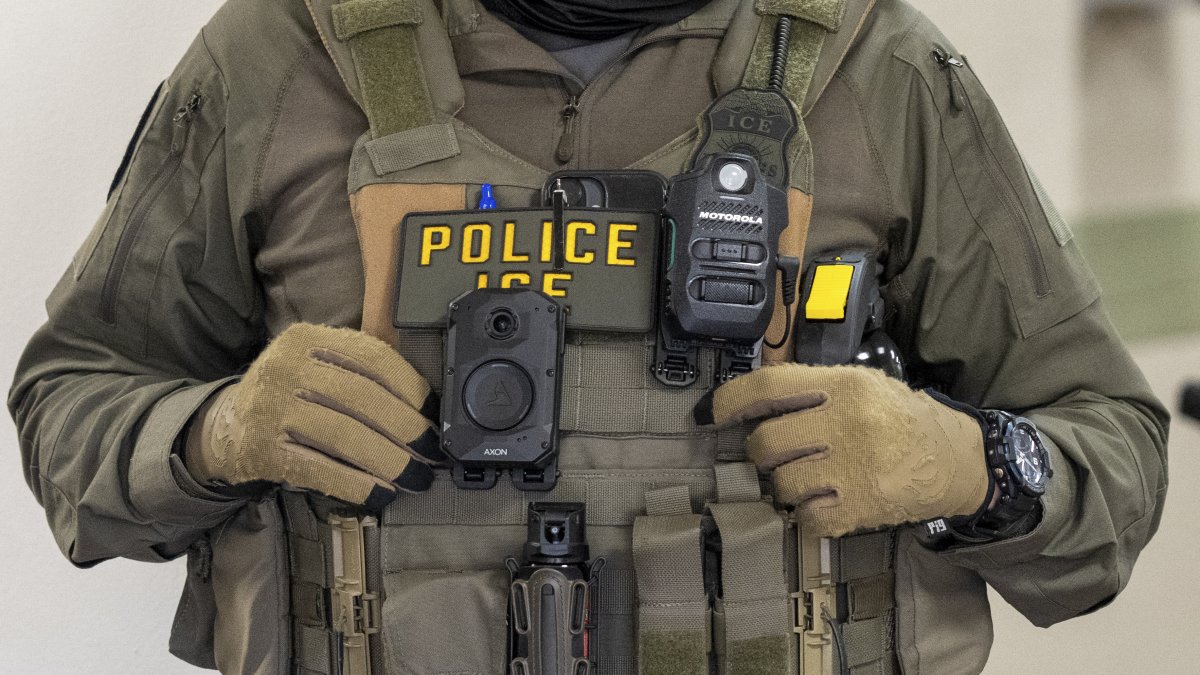 An ICE official.