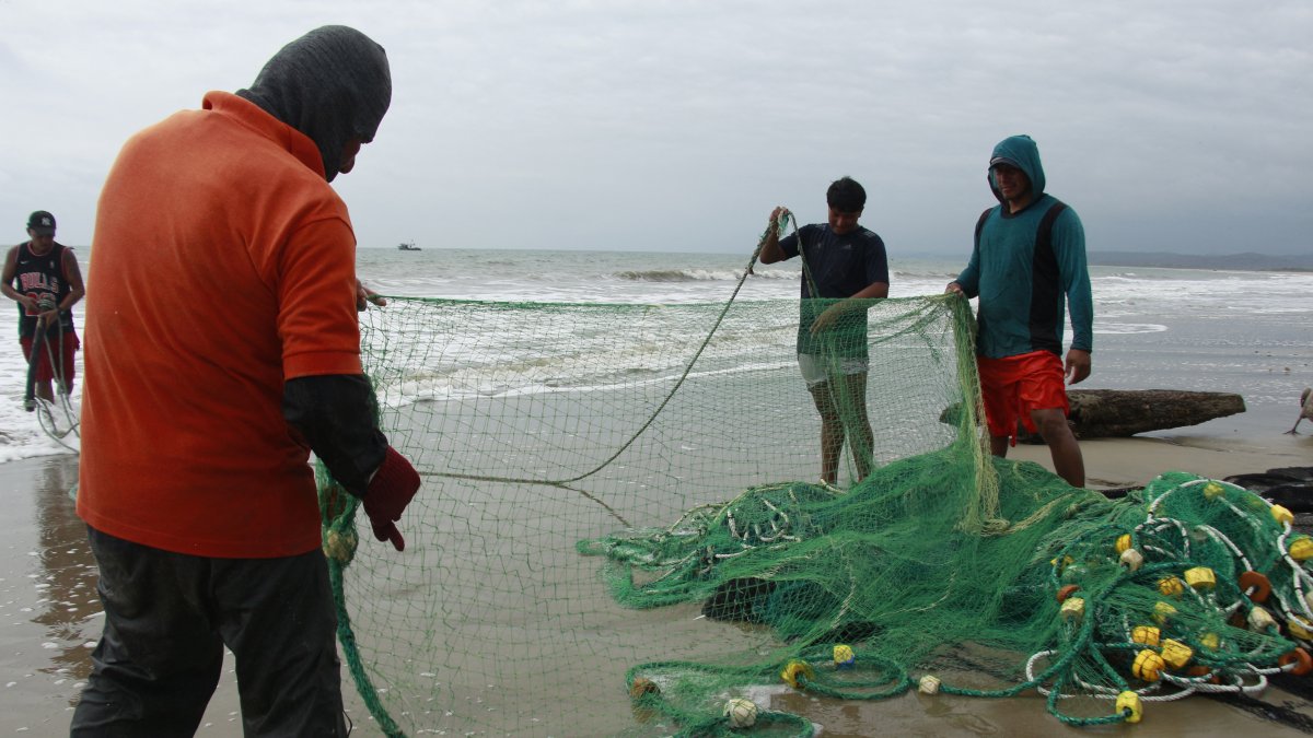 Pacific fishermen are feeling the impact of ocean warming caused by the El Niño phenomenon