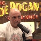 Elecciones presidenciales 2024: Rogan habló con Elon Musk durante casi tres horas