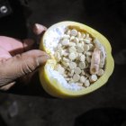 Pastillas de captagon encontradas en una instalación de fabricación de drogas en Siria