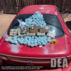 La mayor incautación de fentanilo
